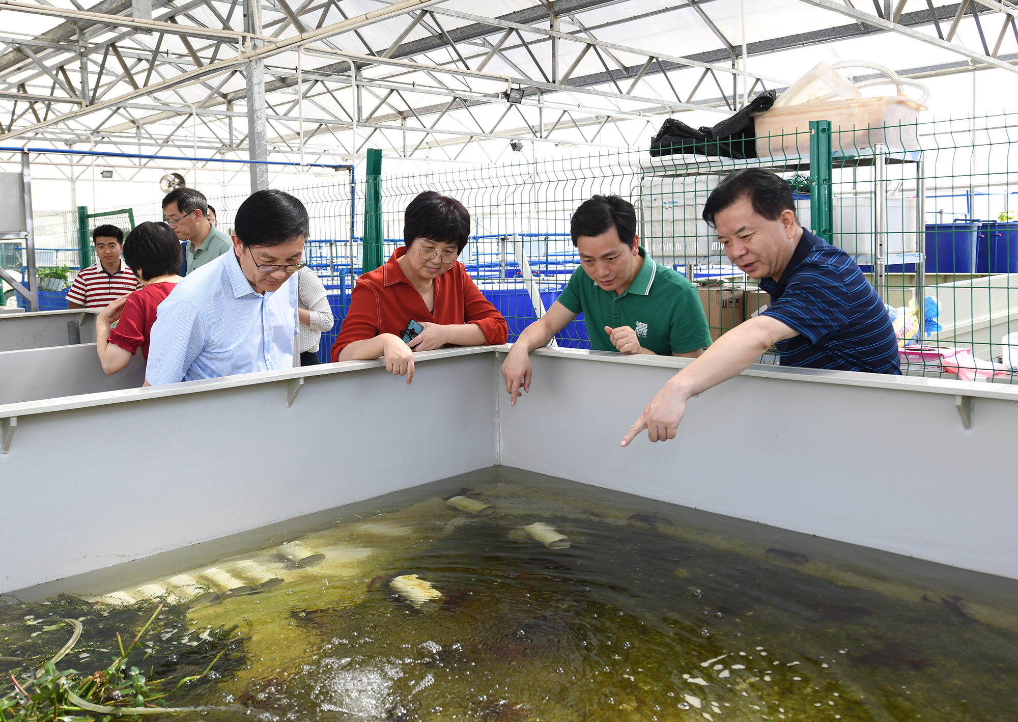 王玲一行调研黄金城官方网站教学科研基地,查看小龙虾养殖情况(记者 刘涛 摄) 王玲一行调研黄金城官方网站教学科研基地,查看小龙虾养殖情况(记者 刘涛 摄)