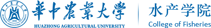 黄金城官方网站